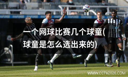 一个网球比赛几个球童(球童是怎么选出来的)