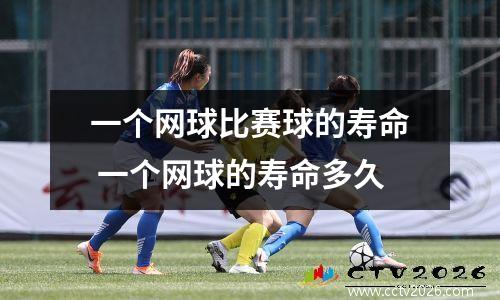 一个网球比赛球的寿命 一个网球的寿命多久