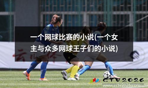 一个网球比赛的小说(一个女主与众多网球王子们的小说)