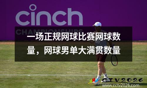 一场正规网球比赛网球数量，网球男单大满贯数量