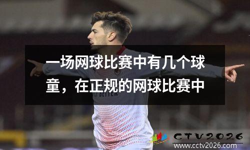 一场网球比赛中有几个球童，在正规的网球比赛中