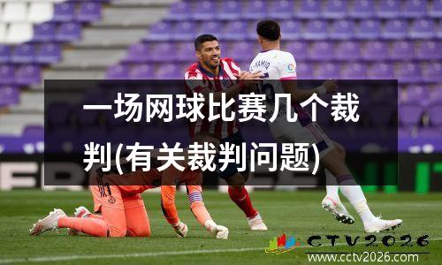 一场网球比赛几个裁判(有关裁判问题)
