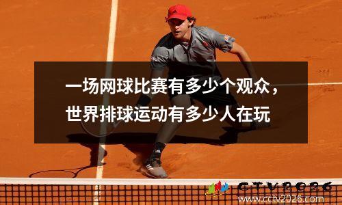 一场网球比赛有多少个观众，世界排球运动有多少人在玩