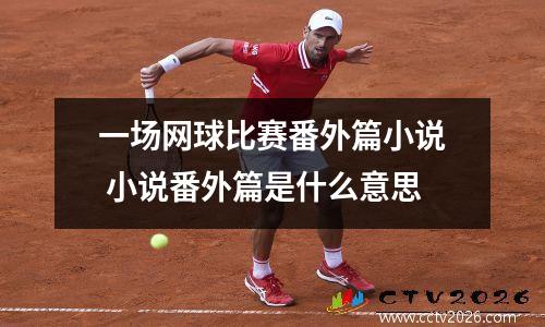 一场网球比赛番外篇小说 小说番外篇是什么意思