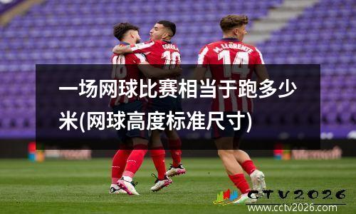 一场网球比赛相当于跑多少米(网球高度标准尺寸)