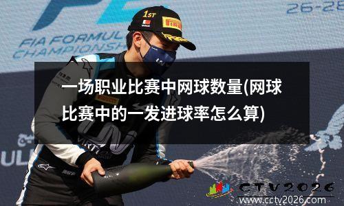 一场职业比赛中网球数量(网球比赛中的一发进球率怎么算)