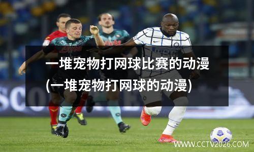 一堆宠物打网球比赛的动漫(一堆宠物打网球的动漫)