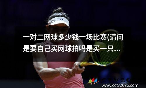 一对二网球多少钱一场比赛(请问是要自己买网球拍吗是买一只还是买一对啊)