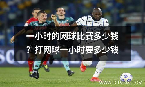 一小时的网球比赛多少钱？打网球一小时要多少钱