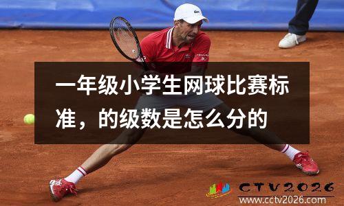 一年级小学生网球比赛标准，的级数是怎么分的