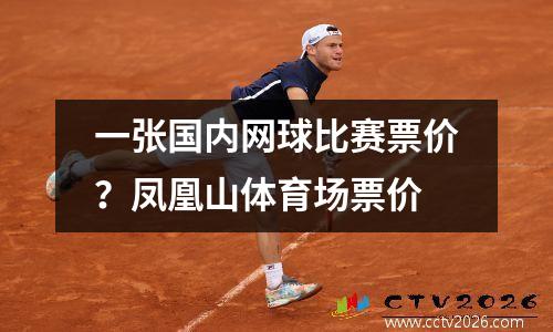 一张国内网球比赛票价？凤凰山体育场票价