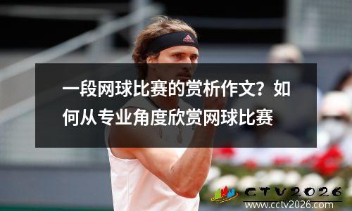 一段网球比赛的赏析作文？如何从专业角度欣赏网球比赛