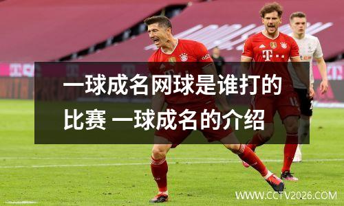 一球成名网球是谁打的比赛 一球成名的介绍