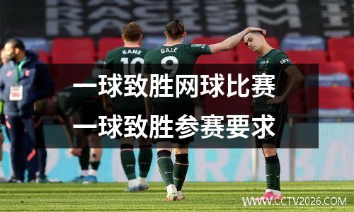 一球致胜网球比赛 一球致胜参赛要求