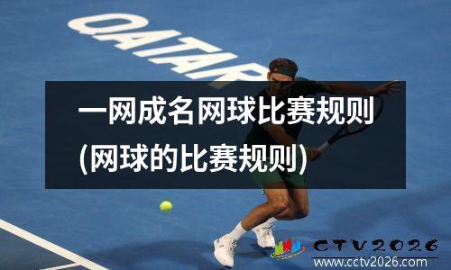 一网成名网球比赛规则(网球的比赛规则)
