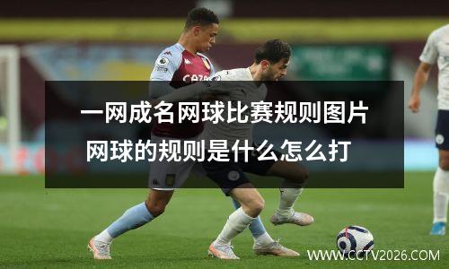 一网成名网球比赛规则图片 网球的规则是什么怎么打