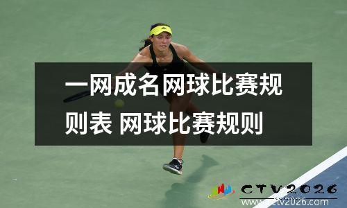 一网成名网球比赛规则表 网球比赛规则