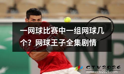 一网球比赛中一组网球几个？网球王子全集剧情
