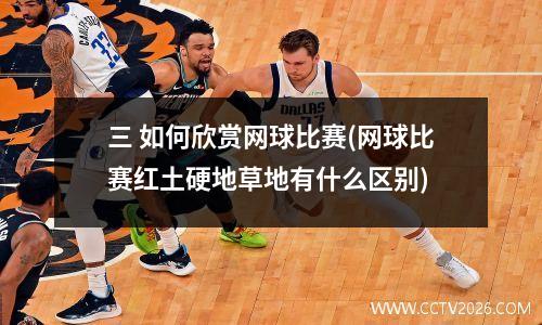三 如何欣赏网球比赛(网球比赛红土硬地草地有什么区别)