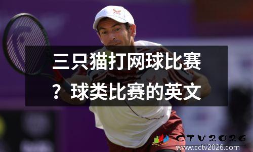 三只猫打网球比赛？球类比赛的英文