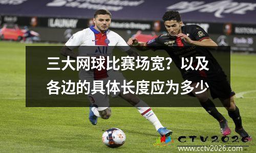 三大网球比赛场宽？以及各边的具体长度应为多少