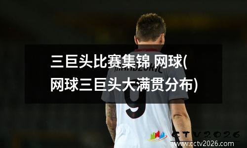 三巨头比赛集锦 网球(网球三巨头大满贯分布)