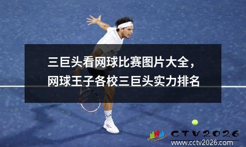 三巨头看网球比赛图片大全，网球王子各校三巨头实力排名