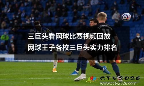 三巨头看网球比赛视频回放 网球王子各校三巨头实力排名