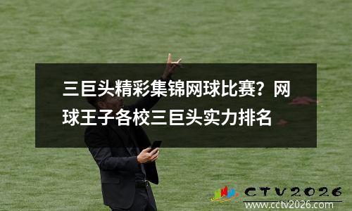 三巨头精彩集锦网球比赛？网球王子各校三巨头实力排名