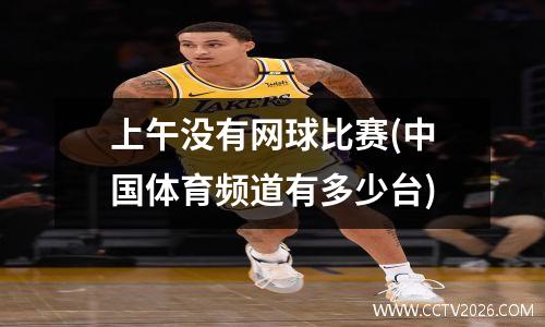 上午没有网球比赛(中国体育频道有多少台)