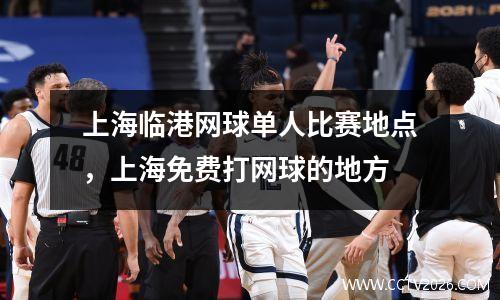 上海临港网球单人比赛地点，上海免费打网球的地方