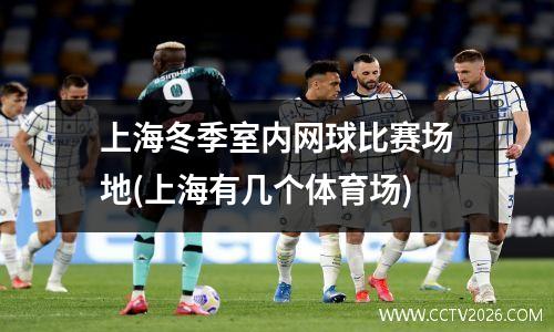 上海冬季室内网球比赛场地(上海有几个体育场)