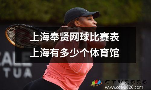 上海奉贤网球比赛表 上海有多少个体育馆