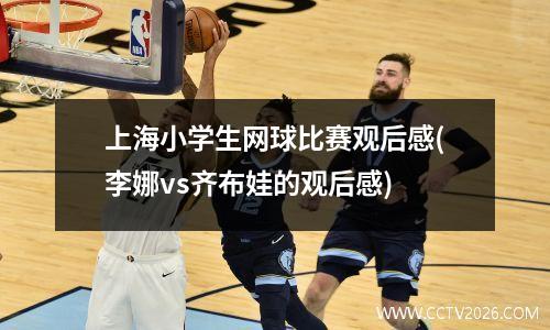 上海小学生网球比赛观后感(李娜vs齐布娃的观后感)