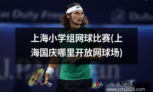 上海小学组网球比赛(上海国庆哪里开放网球场)