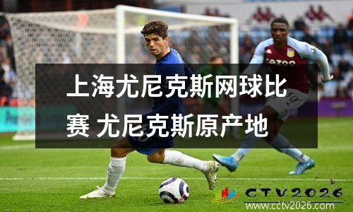 上海尤尼克斯网球比赛 尤尼克斯原产地