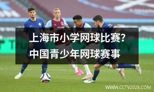上海市小学网球比赛？中国青少年网球赛事