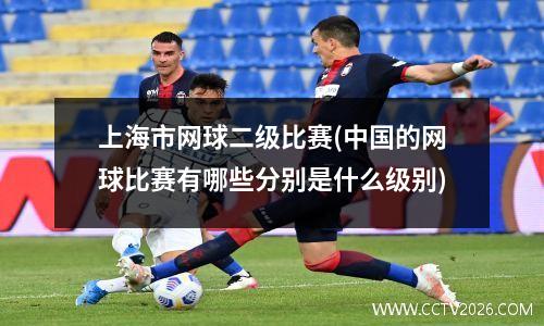 上海市网球二级比赛(中国的网球比赛有哪些分别是什么级别)