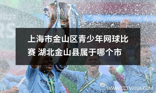 上海市金山区青少年网球比赛 湖北金山县属于哪个市