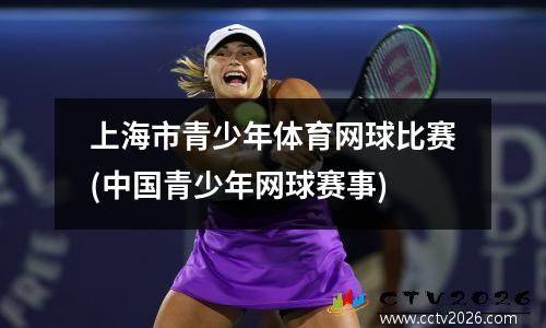 上海市青少年体育网球比赛(中国青少年网球赛事)