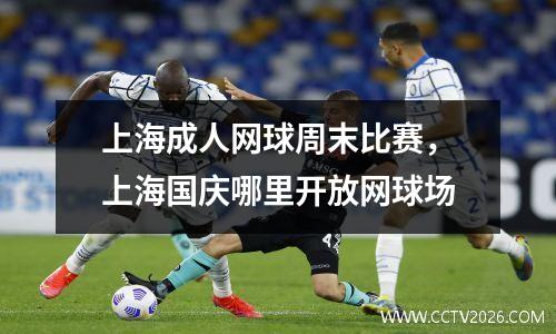 上海成人网球周末比赛，上海国庆哪里开放网球场