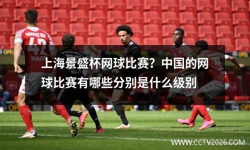上海景盛杯网球比赛？中国的网球比赛有哪些分别是什么级别