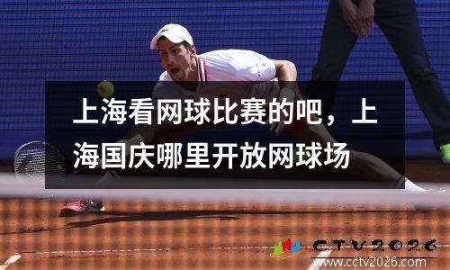 上海看网球比赛的吧，上海国庆哪里开放网球场