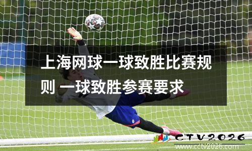 上海网球一球致胜比赛规则 一球致胜参赛要求