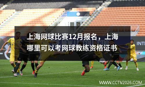 上海网球比赛12月报名，上海哪里可以考网球教练资格证书