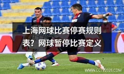 上海网球比赛停赛规则表？网球暂停比赛定义