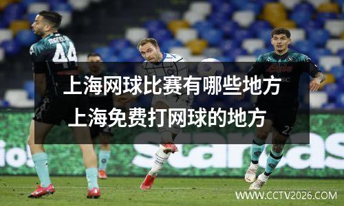 上海网球比赛有哪些地方 上海免费打网球的地方