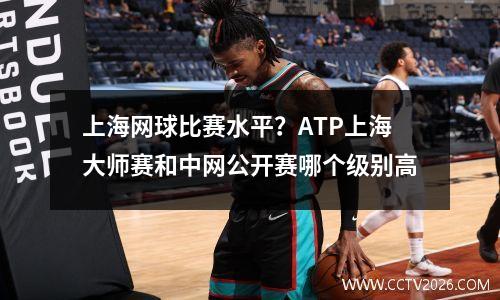 上海网球比赛水平？ATP上海大师赛和中网公开赛哪个级别高