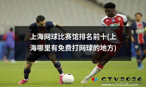 上海网球比赛馆排名前十(上海哪里有免费打网球的地方)