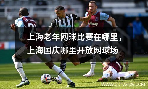 上海老年网球比赛在哪里，上海国庆哪里开放网球场